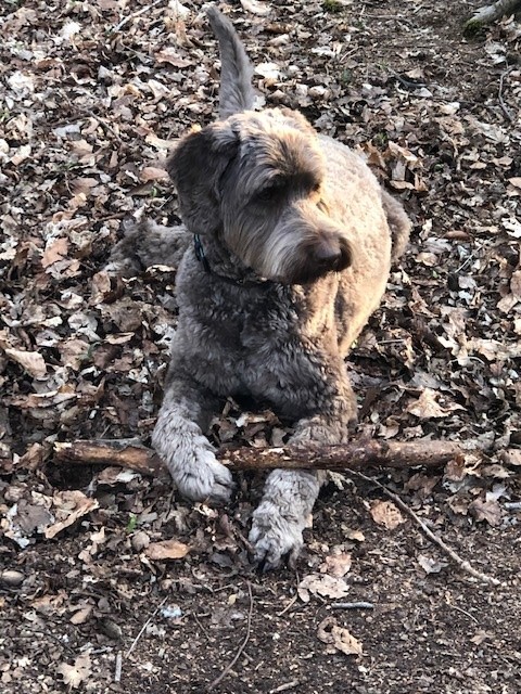 Pip Zoon Tegels & Badkamers